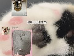 -全心全意连锁动物医院(加州店)