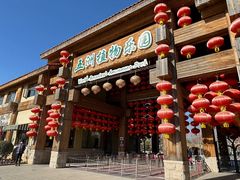 -南宫五洲植物乐园