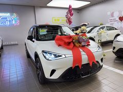 -上海浦东smart汽车全功能店(金桥店)