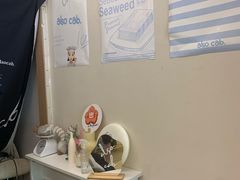 -cab意式gelato冰淇淋