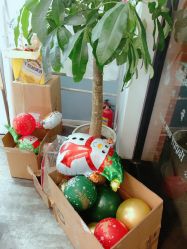 -星宝贝儿童摄影