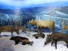 -呼伦贝尔民族博物馆