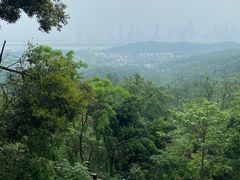 -岳麓山风景名胜区