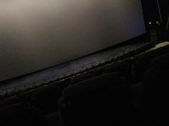 -星轶IMAX影城(桐乡吾悦广场旗舰店)