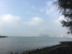-万绿园