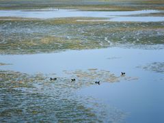 -野鸭湖国家湿地公园