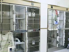 -康爱犬猫诊所·牙专科·骨外科·影像内科(丰宁店)
