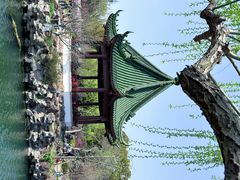 -无锡蠡湖国家湿地公园-蠡园