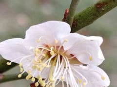 -洛阳市隋唐城遗址植物园