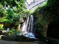 -南山植物园