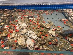 -一方渔歌蒸汽海鲜自助(文化路万达广场店)