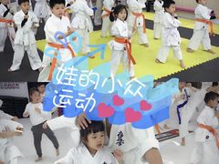 -极真空手道修远道场