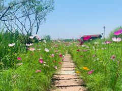 -良渚古城遗址公园