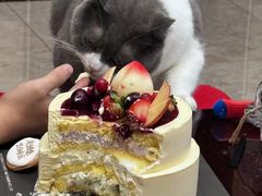 -半勺舒舒生日蛋糕店