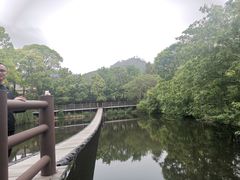 -黄陂区野村谷景区