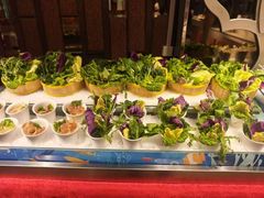 -裕龙汤泉