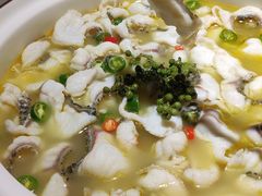 青花椒味砂锅鱼-青花椒花椒鱼(合生汇店)