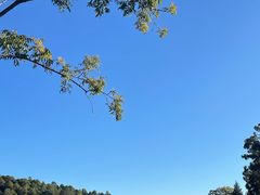 -黑龙潭公园