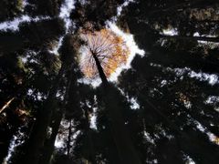 -山王坪喀斯特国家生态公园