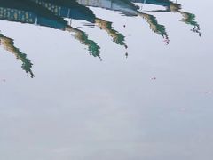 -龙舟池