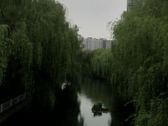 -西湖文化广场