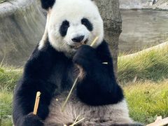 -柳州市动物园