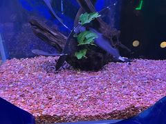 -沙沙哗啦海洋馆(华宇百花谷店)