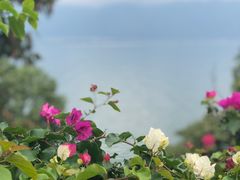 -南诏风情岛