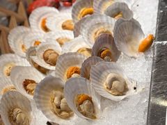 -太湖饭店玉兰厅(自助餐厅)