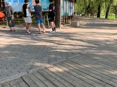 -WhaleSports户外水上运动俱乐部(朝阳公园店)