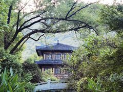 -习家池