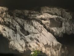 -The Georg(东华门店)