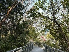 -佛山华盖山公园