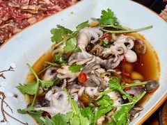 -丹东特色烤肉(学府路一部店)