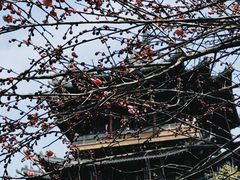 -杭州半山国家森林公园