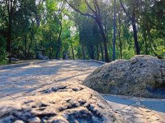 -禅宗少林·音乐大典