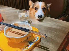 我家傻大脑瓜子~-羊大爷涮肉(亮马桥店)