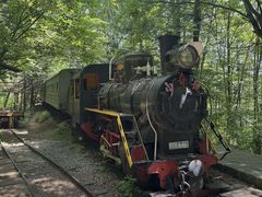 -五营红松林海景区