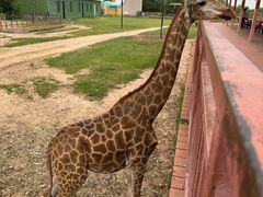 -鄂尔多斯野生动物园