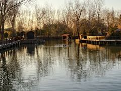 -溱湖国家湿地公园