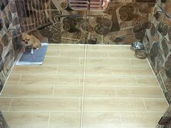 -宠物之家Pets Home 宠物寄养酒店