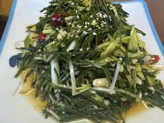-沽源味道蒙餐莜面家常菜