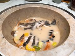 -云海肴云南菜·蒸汽石锅鱼(新奥店)