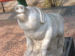 -白洋淀景区