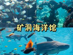 -长鹿旅游休博园