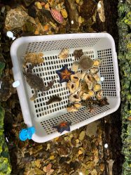 -钓虾工场·钓虾·赶海(回龙观店)