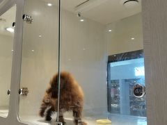 -乐宠宠物店(世纪金源店)