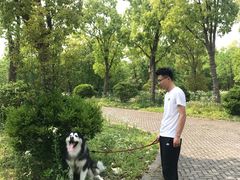 -上海海湾国家森林公园