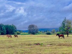 -北极村旅游风景区
