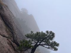 -黄山白云宾馆
